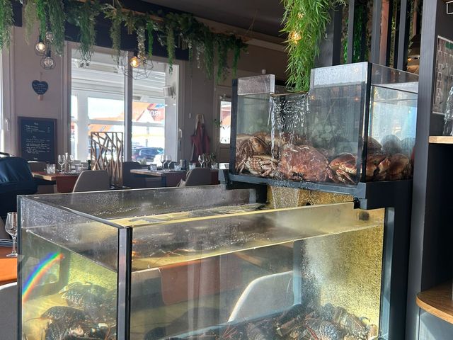 LE LOUP DE MER Homarium